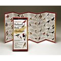 Steven Lewers & Associates Sibleyapos;s Backyard Birds Florida Book LEWERSBBF111